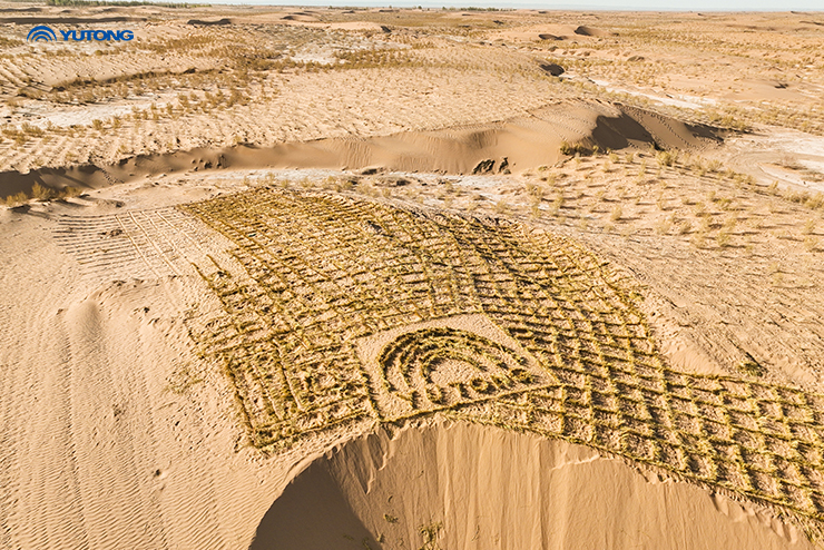 Yutong Bus Announces Major Milestone for Net Zero Forest Initiative on Earth Day 2025: One Tree Planted per Bus in Operation