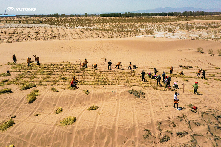 Why Does Yutong Initiate Net Zero Forest?